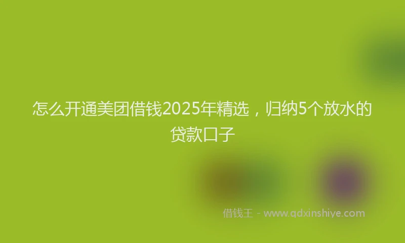 怎么开通美团借钱2025年精选，归纳5个放水的贷款口子