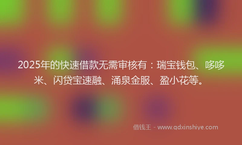 2025年的快速借款无需审核有：瑞宝钱包、哆哆米、闪贷宝速融、涌泉金服、盈小花等。