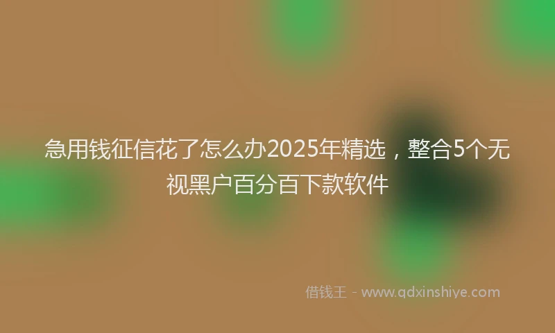 急用钱征信花了怎么办2025年精选，整合5个无视黑户百分百下款软件