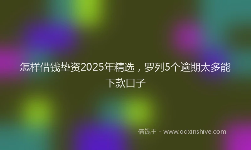 怎样借钱垫资2025年精选，罗列5个逾期太多能下款口子