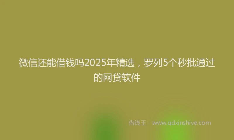 微信还能借钱吗2025年精选，罗列5个秒批通过的网贷软件