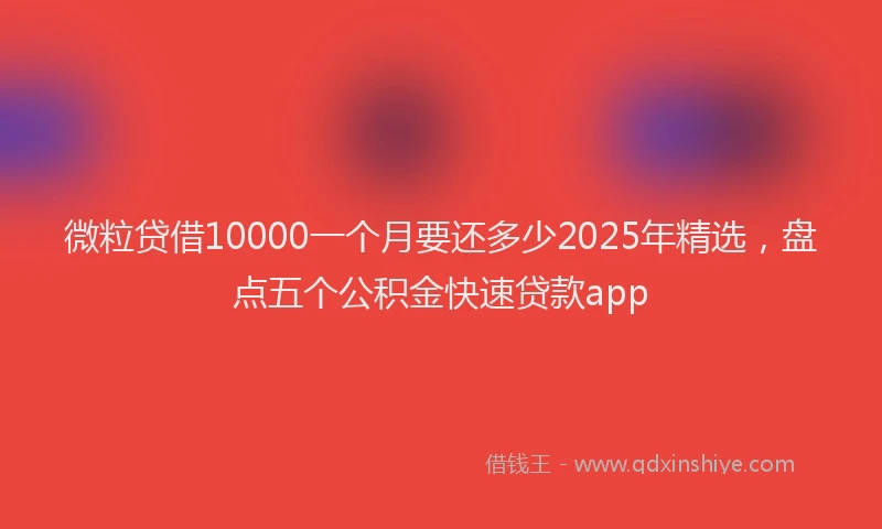 微粒贷借10000一个月要还多少2025年精选，盘点五个公积金快速贷款app