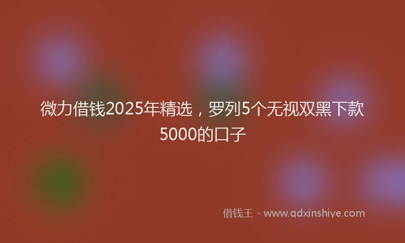 微力借钱2025年精选，罗列5个无视双黑下款5000的口子