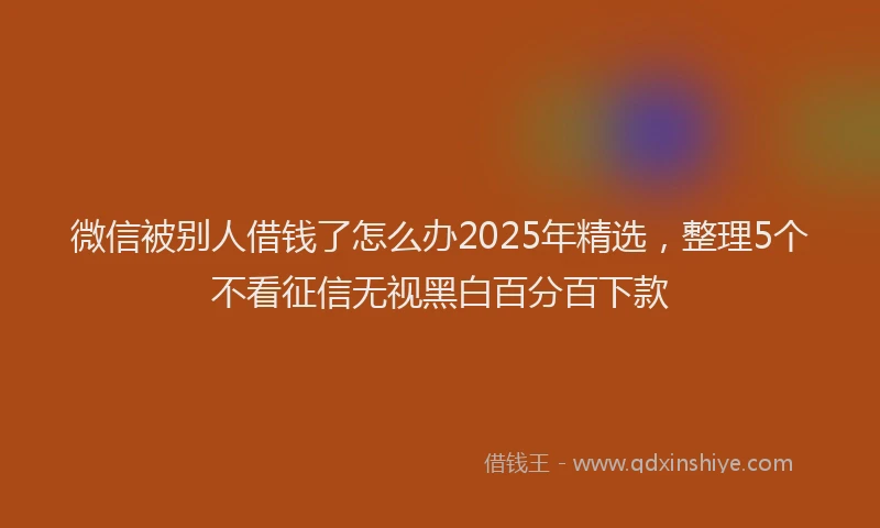 微信被别人借钱了怎么办2025年精选，整理5个不看征信无视黑白百分百下款