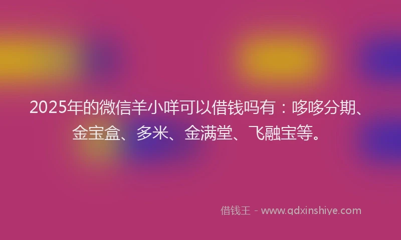 2025年的微信羊小咩可以借钱吗有：哆哆分期、金宝盒、多米、金满堂、飞融宝等。