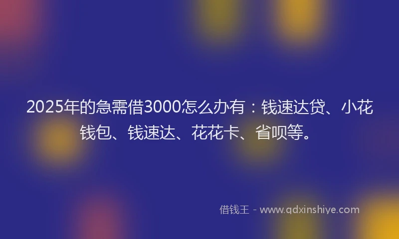 2025年的急需借3000怎么办有：钱速达贷、小花钱包、钱速达、花花卡、省呗等。