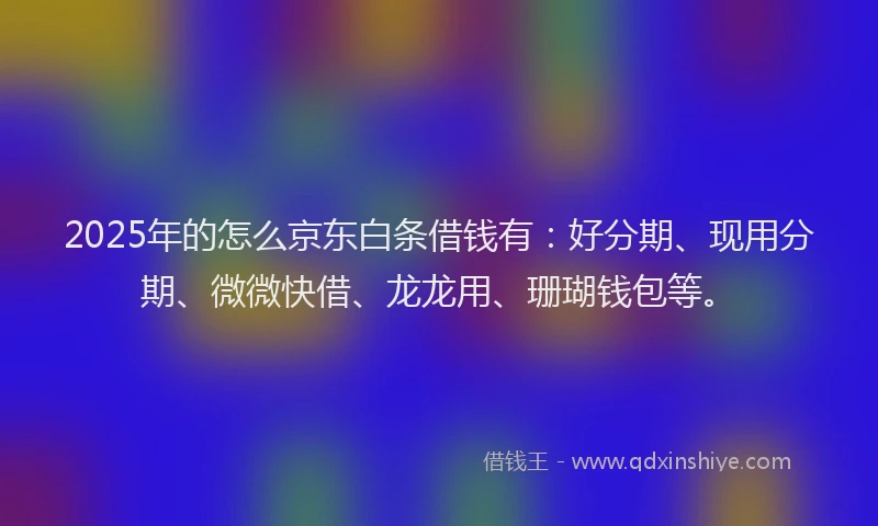2025年的怎么京东白条借钱有：好分期、现用分期、微微快借、龙龙用、珊瑚钱包等。