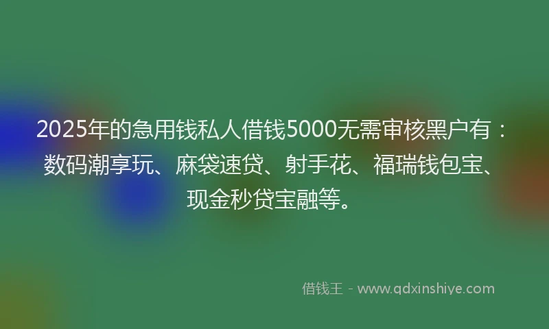 2025年的急用钱私人借钱5000无需审核黑户有：数码潮享玩、麻袋速贷、射手花、福瑞钱包宝、现金秒贷宝融等。