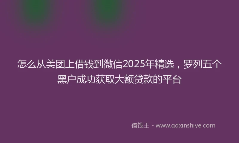 怎么从美团上借钱到微信2025年精选，罗列五个黑户成功获取大额贷款的平台