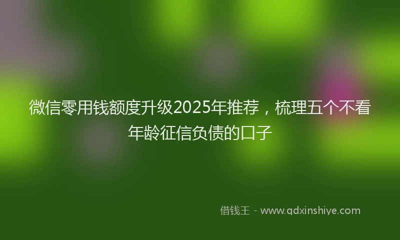 微信零用钱额度升级2025年推荐，梳理五个不看年龄征信负债的口子