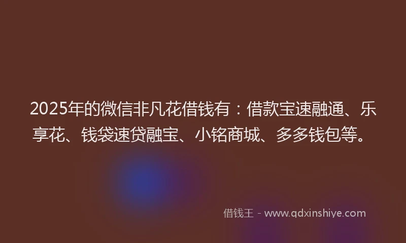 2025年的微信非凡花借钱有：借款宝速融通、乐享花、钱袋速贷融宝、小铭商城、多多钱包等。