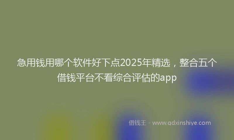 急用钱用哪个软件好下点2025年精选，整合五个借钱平台不看综合评估的app