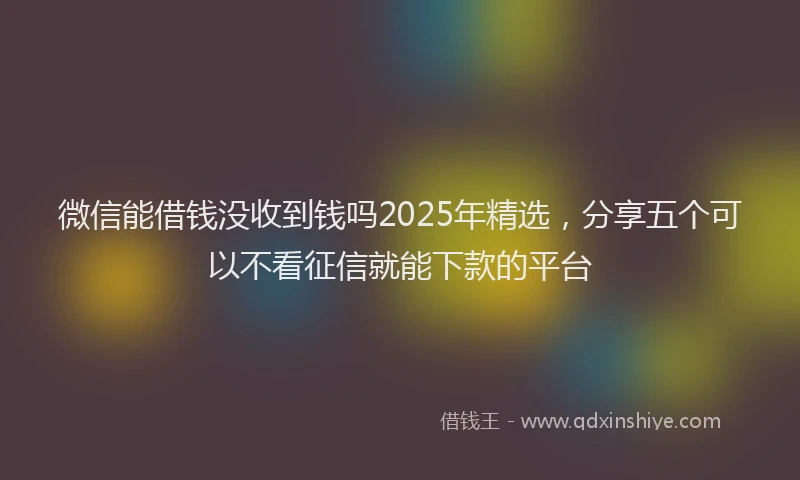 微信能借钱没收到钱吗2025年精选，分享五个可以不看征信就能下款的平台