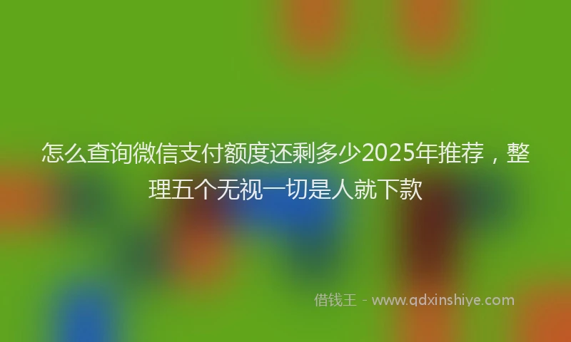 怎么查询微信支付额度还剩多少2025年推荐，整理五个无视一切是人就下款