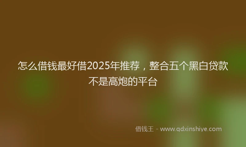 怎么借钱最好借2025年推荐，整合五个黑白贷款不是高炮的平台