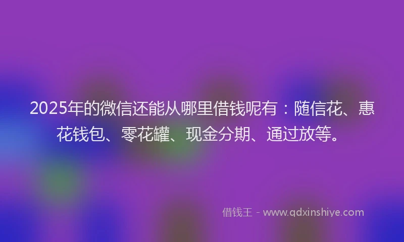 2025年的微信还能从哪里借钱呢有：随信花、惠花钱包、零花罐、现金分期、通过放等。