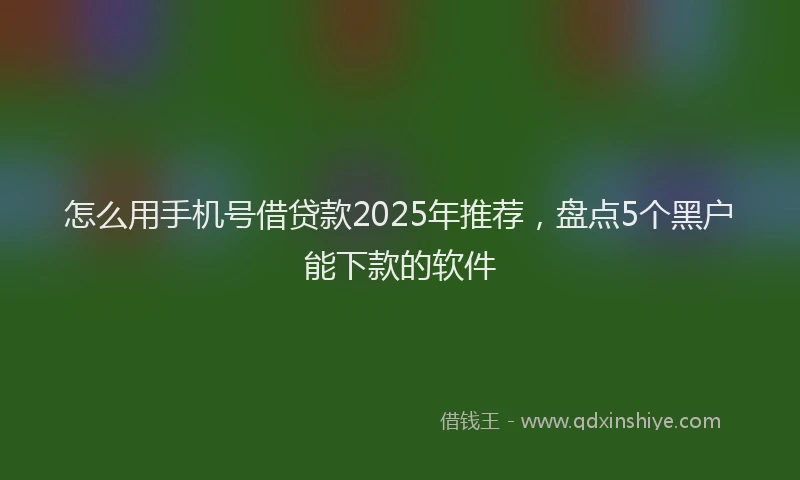怎么用手机号借贷款2025年推荐，盘点5个黑户能下款的软件