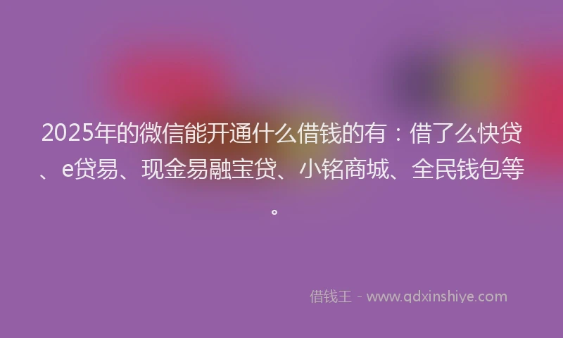 2025年的微信能开通什么借钱的有：借了么快贷、e贷易、现金易融宝贷、小铭商城、全民钱包等。