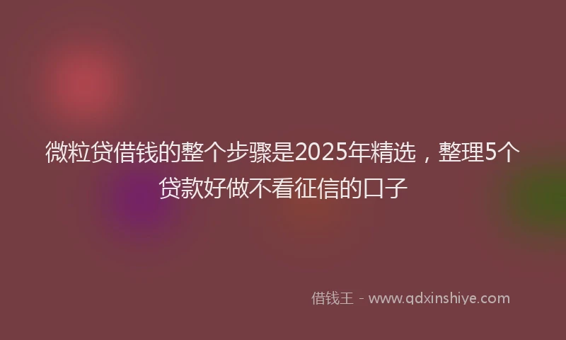 微粒贷借钱的整个步骤是2025年精选，整理5个贷款好做不看征信的口子