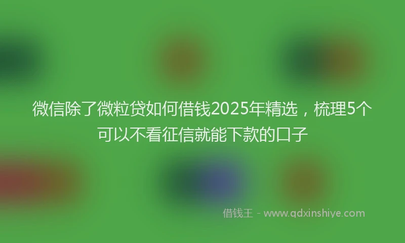 微信除了微粒贷如何借钱2025年精选，梳理5个可以不看征信就能下款的口子