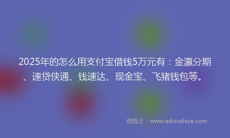 2025年的怎么用支付宝借钱5万元有：金瀛分期、速贷侠通、钱速达、现金宝、飞猪钱包等。