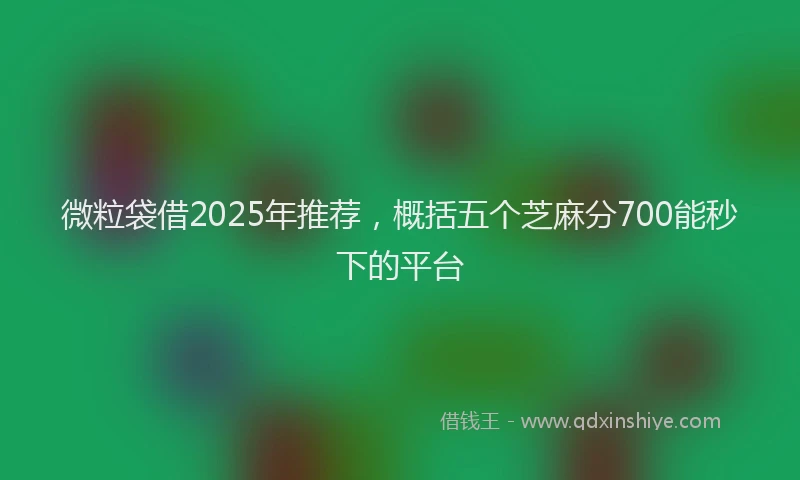 微粒袋借2025年推荐，概括五个芝麻分700能秒下的平台