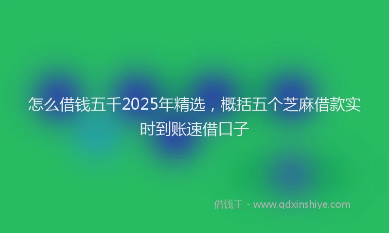怎么借钱五千2025年精选，概括五个芝麻借款实时到账速借口子