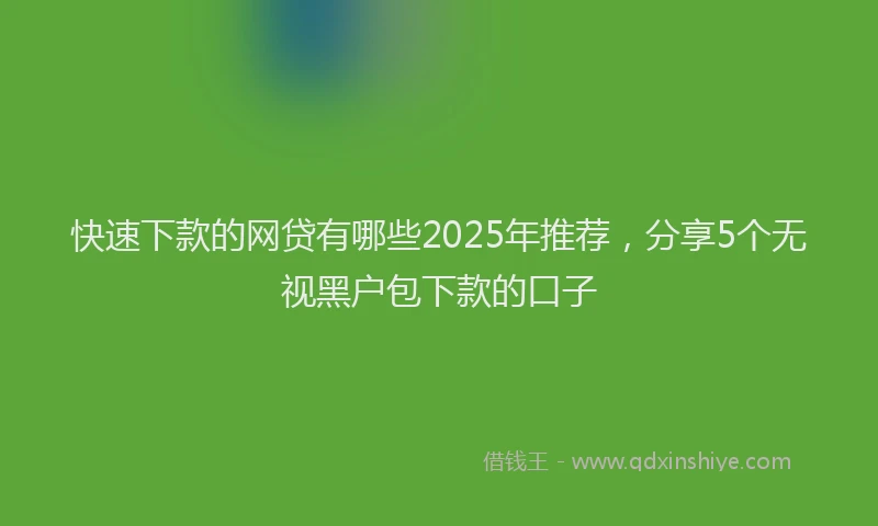快速下款的网贷有哪些2025年推荐，分享5个无视黑户包下款的口子