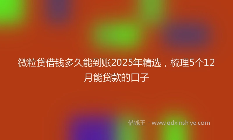 微粒贷借钱多久能到账2025年精选，梳理5个12月能贷款的口子