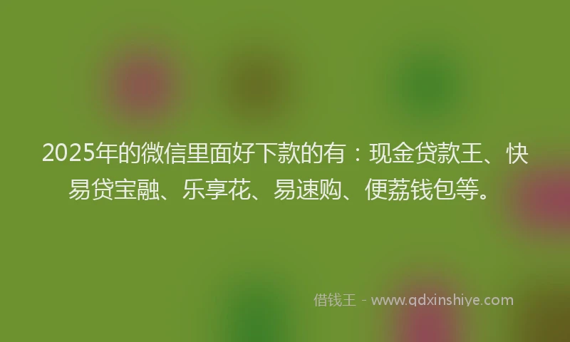 2025年的微信里面好下款的有：现金贷款王、快易贷宝融、乐享花、易速购、便荔钱包等。