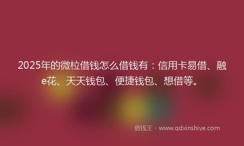 2025年的微柆借钱怎么借钱有：信用卡易借、融e花、天天钱包、便捷钱包、想借等。