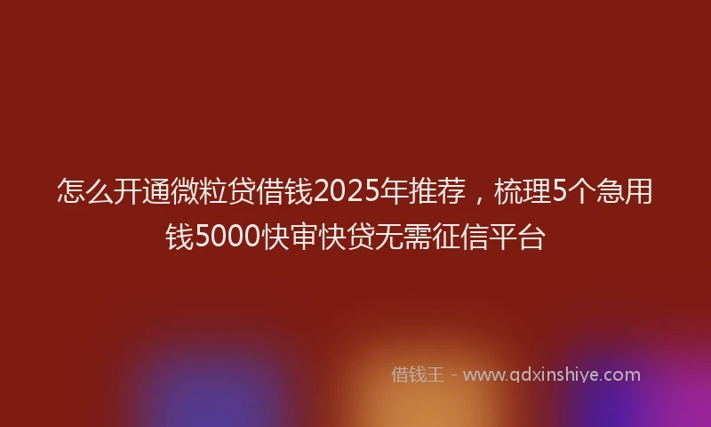 怎么开通微粒贷借钱2025年推荐，梳理5个急用钱5000快审快贷无需征信平台