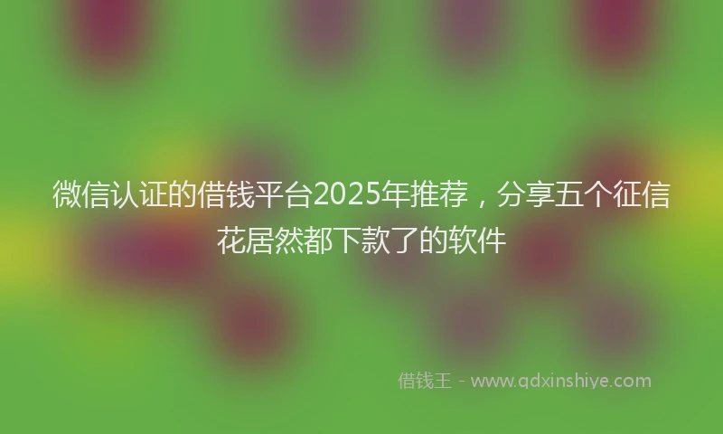 微信认证的借钱平台2025年推荐，分享五个征信花居然都下款了的软件