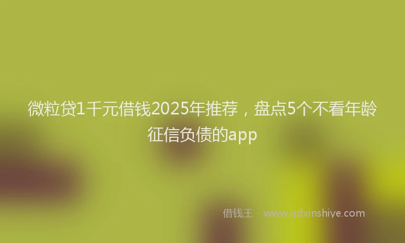 微粒贷1千元借钱2025年推荐，盘点5个不看年龄征信负债的app
