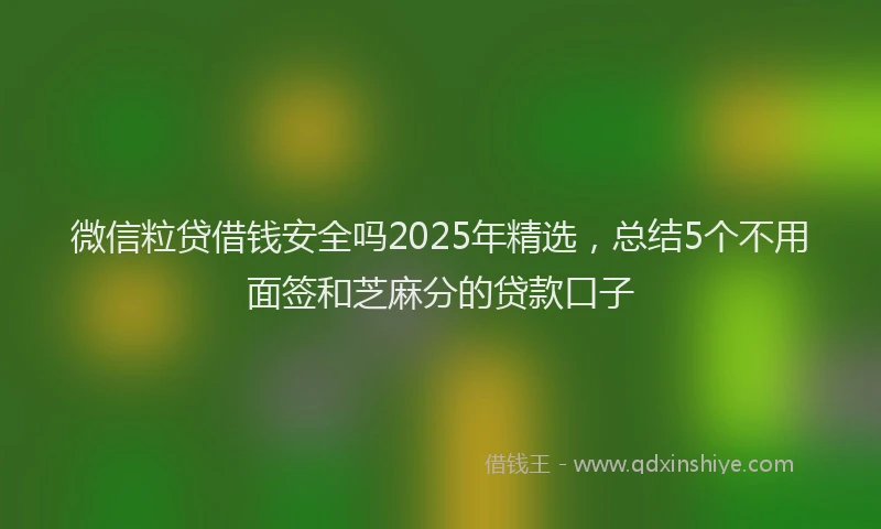 微信粒贷借钱安全吗2025年精选，总结5个不用面签和芝麻分的贷款口子