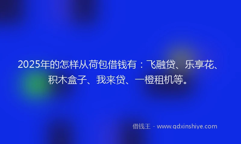 2025年的怎样从荷包借钱有：飞融贷、乐享花、积木盒子、我来贷、一橙租机等。