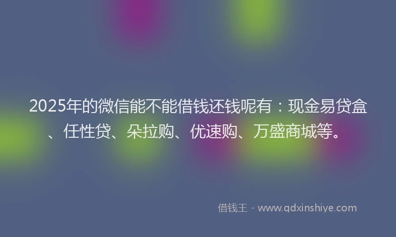 2025年的微信能不能借钱还钱呢有：现金易贷盒、任性贷、朵拉购、优速购、万盛商城等。
