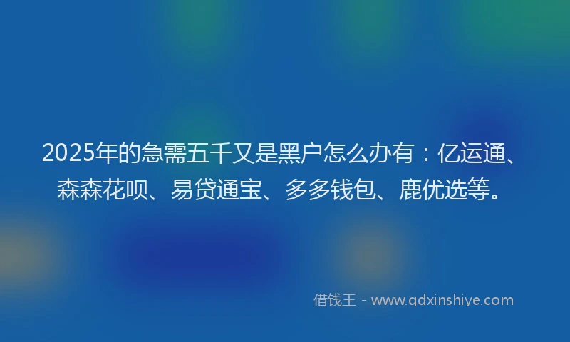 2025年的急需五千又是黑户怎么办有：亿运通、森森花呗、易贷通宝、多多钱包、鹿优选等。