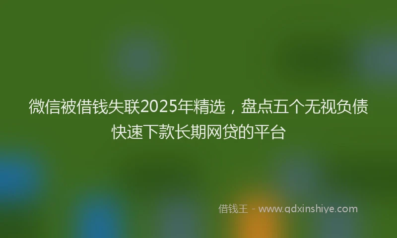 微信被借钱失联2025年精选，盘点五个无视负债快速下款长期网贷的平台