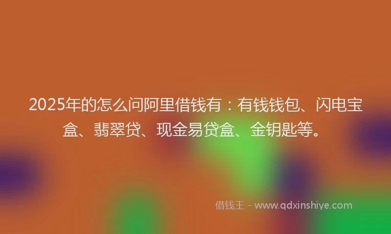 2025年的怎么问阿里借钱有：有钱钱包、闪电宝盒、翡翠贷、现金易贷盒、金钥匙等。