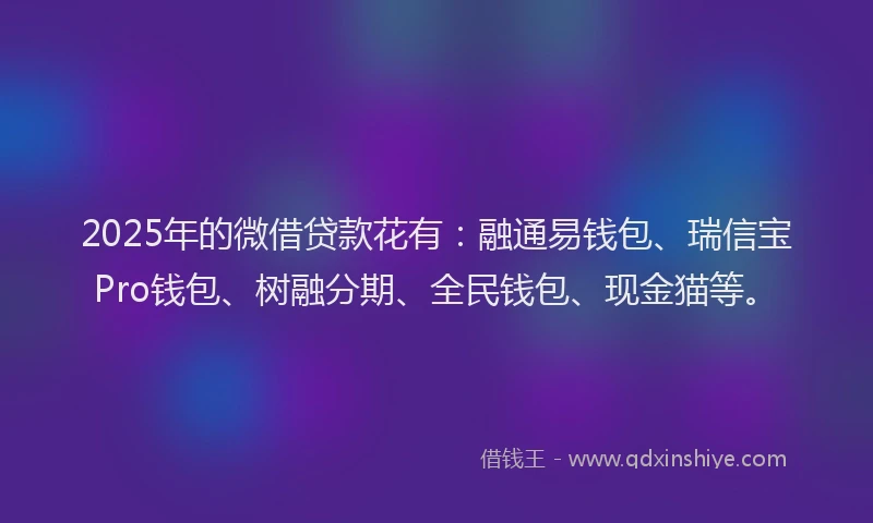 2025年的微借贷款花有：融通易钱包、瑞信宝Pro钱包、树融分期、全民钱包、现金猫等。
