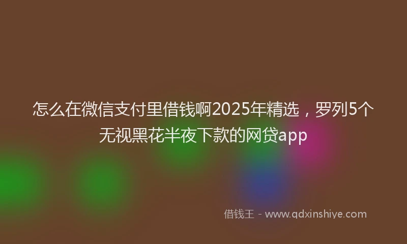 怎么在微信支付里借钱啊2025年精选，罗列5个无视黑花半夜下款的网贷app