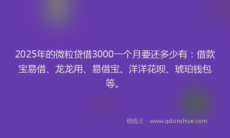 2025年的微粒贷借3000一个月要还多少有：借款宝易借、龙龙用、易借宝、洋洋花呗、琥珀钱包等。