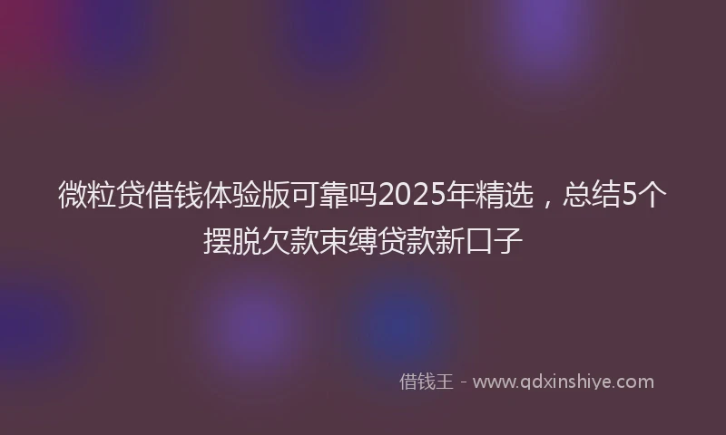 微粒贷借钱体验版可靠吗2025年精选，总结5个摆脱欠款束缚贷款新口子