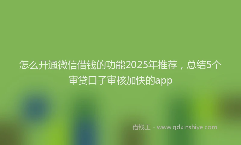 怎么开通微信借钱的功能2025年推荐，总结5个审贷口子审核加快的app