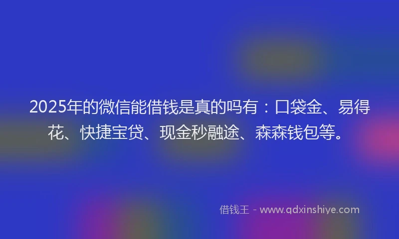 2025年的微信能借钱是真的吗有：口袋金、易得花、快捷宝贷、现金秒融途、森森钱包等。