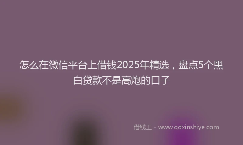 怎么在微信平台上借钱2025年精选，盘点5个黑白贷款不是高炮的口子