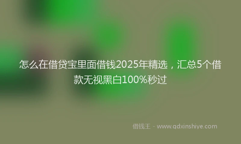 怎么在借贷宝里面借钱2025年精选，汇总5个借款无视黑白100%秒过