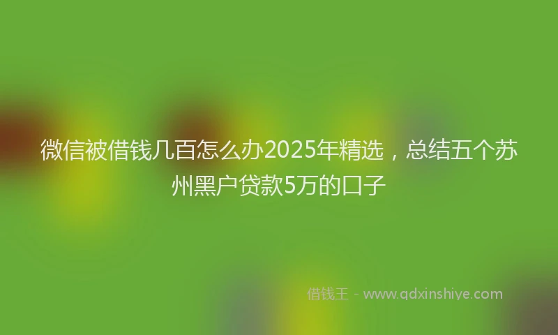 微信被借钱几百怎么办2025年精选，总结五个苏州黑户贷款5万的口子