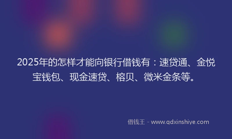 2025年的怎样才能向银行借钱有：速贷通、金悦宝钱包、现金速贷、榕贝、微米金条等。